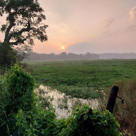 Lake Cabin Polonnaruwa Luaran gambar
