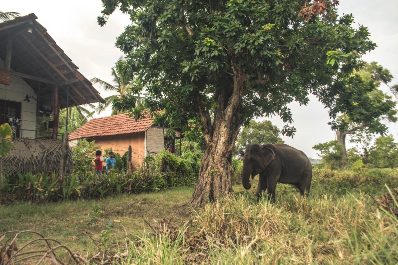 Lake Cabin Polonnaruwa Luaran gambar