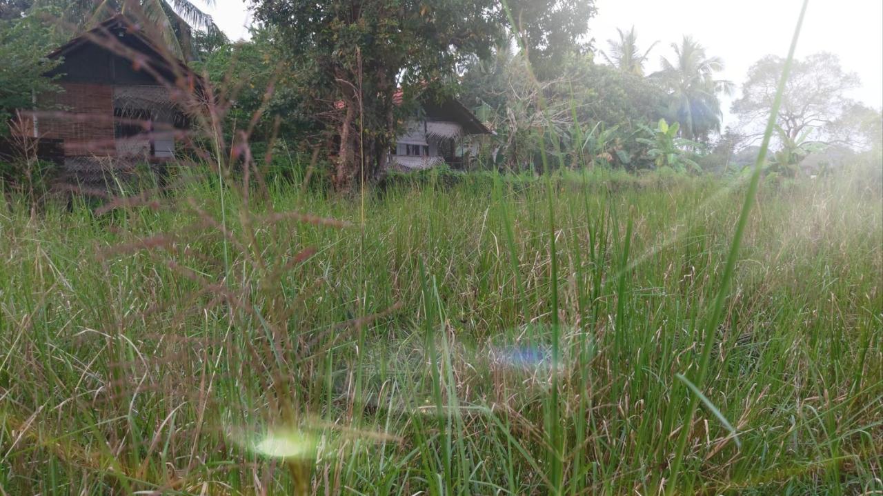 Lake Cabin Polonnaruwa Luaran gambar