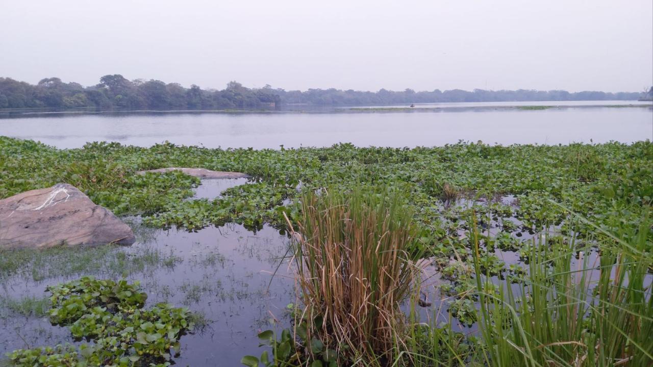 Lake Cabin Polonnaruwa Luaran gambar
