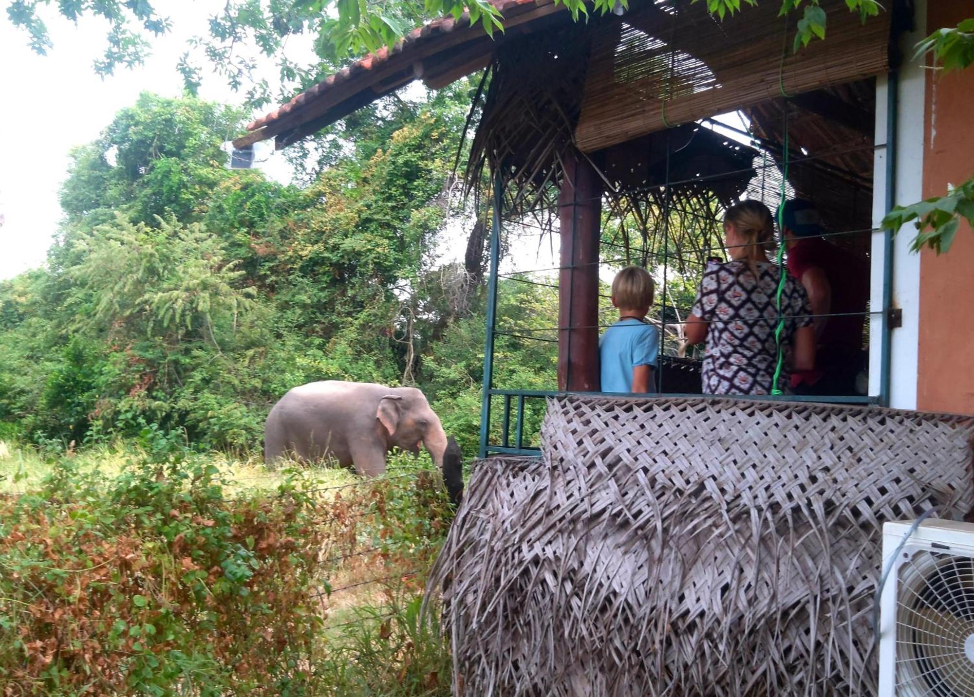 Lake Cabin Polonnaruwa Luaran gambar