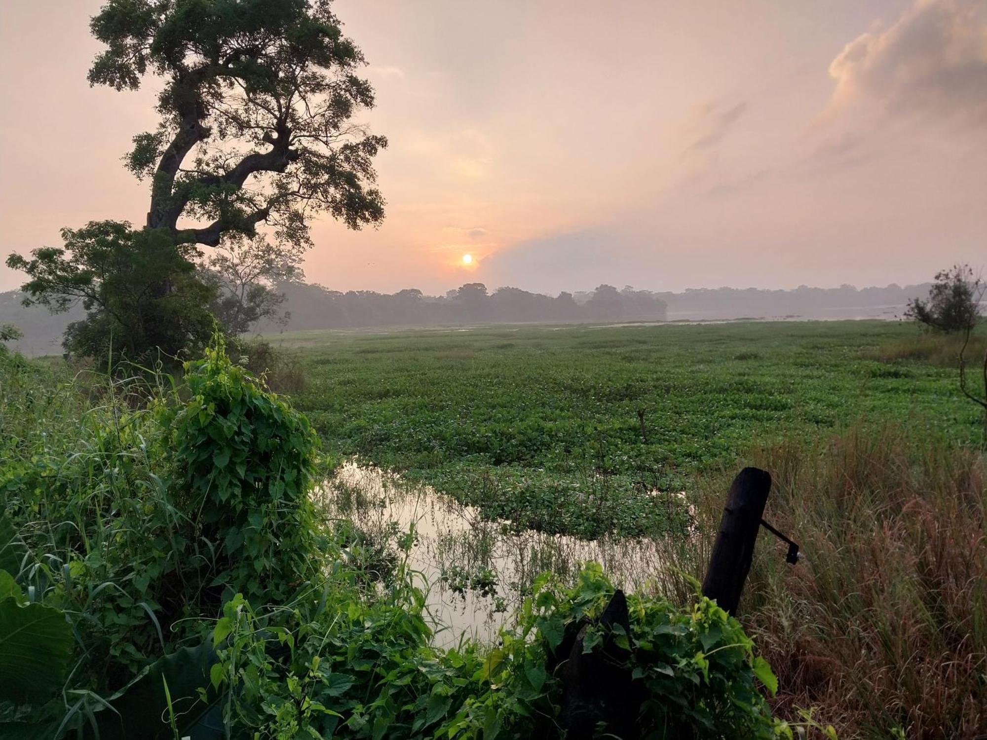 Lake Cabin Polonnaruwa Luaran gambar
