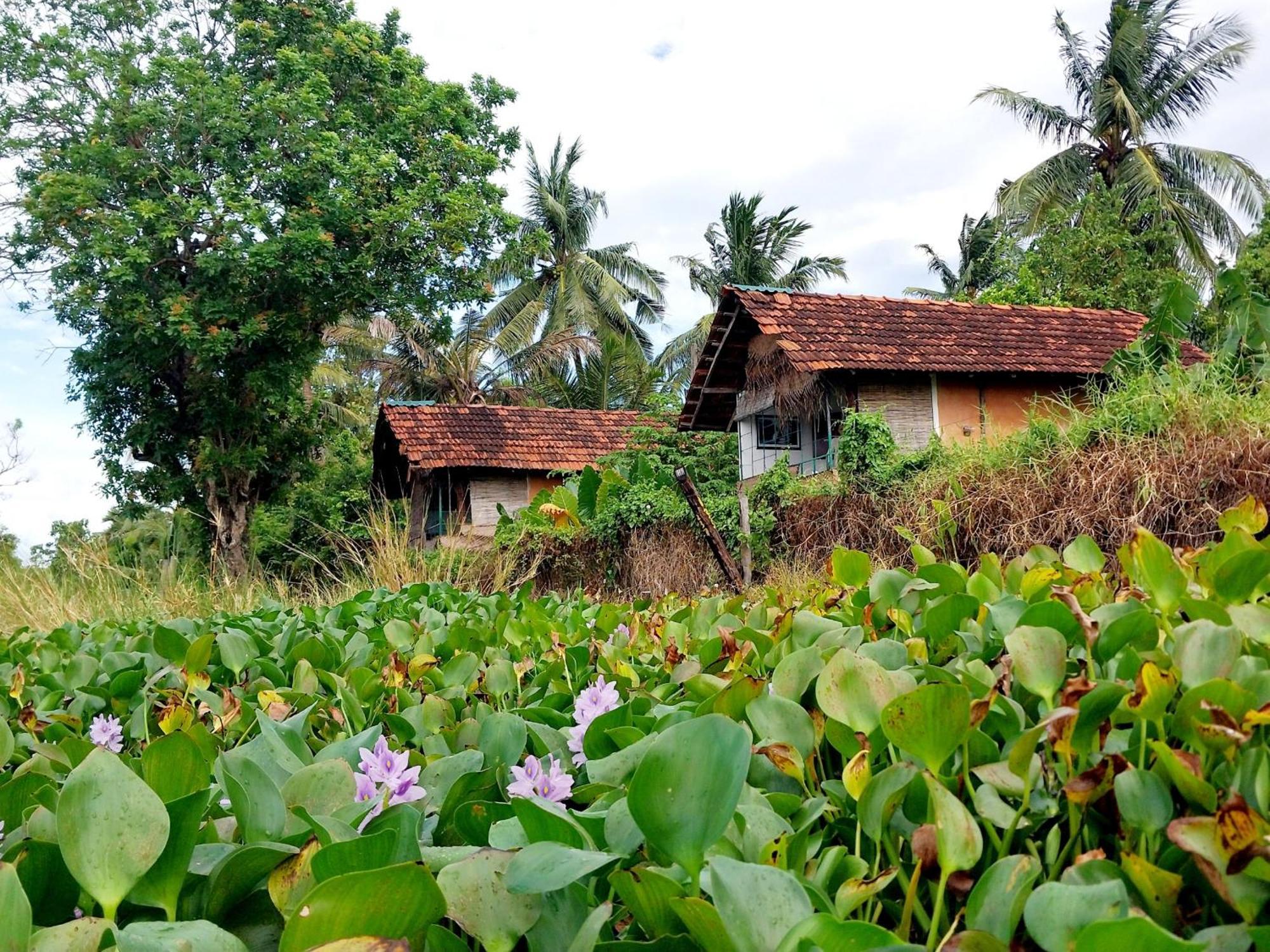 Lake Cabin Polonnaruwa Luaran gambar