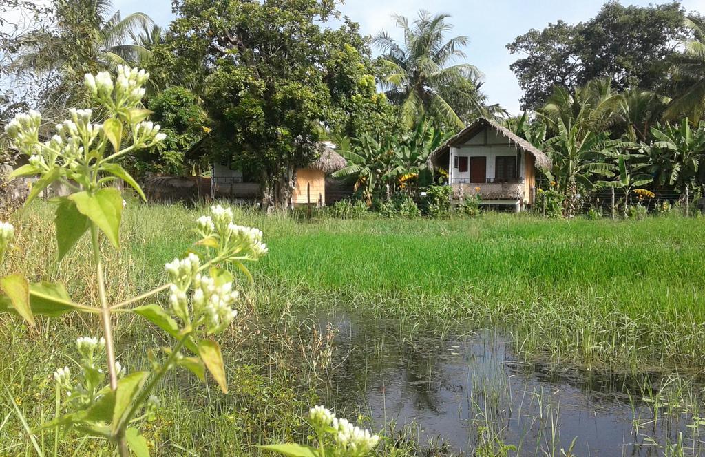Lake Cabin Polonnaruwa Luaran gambar