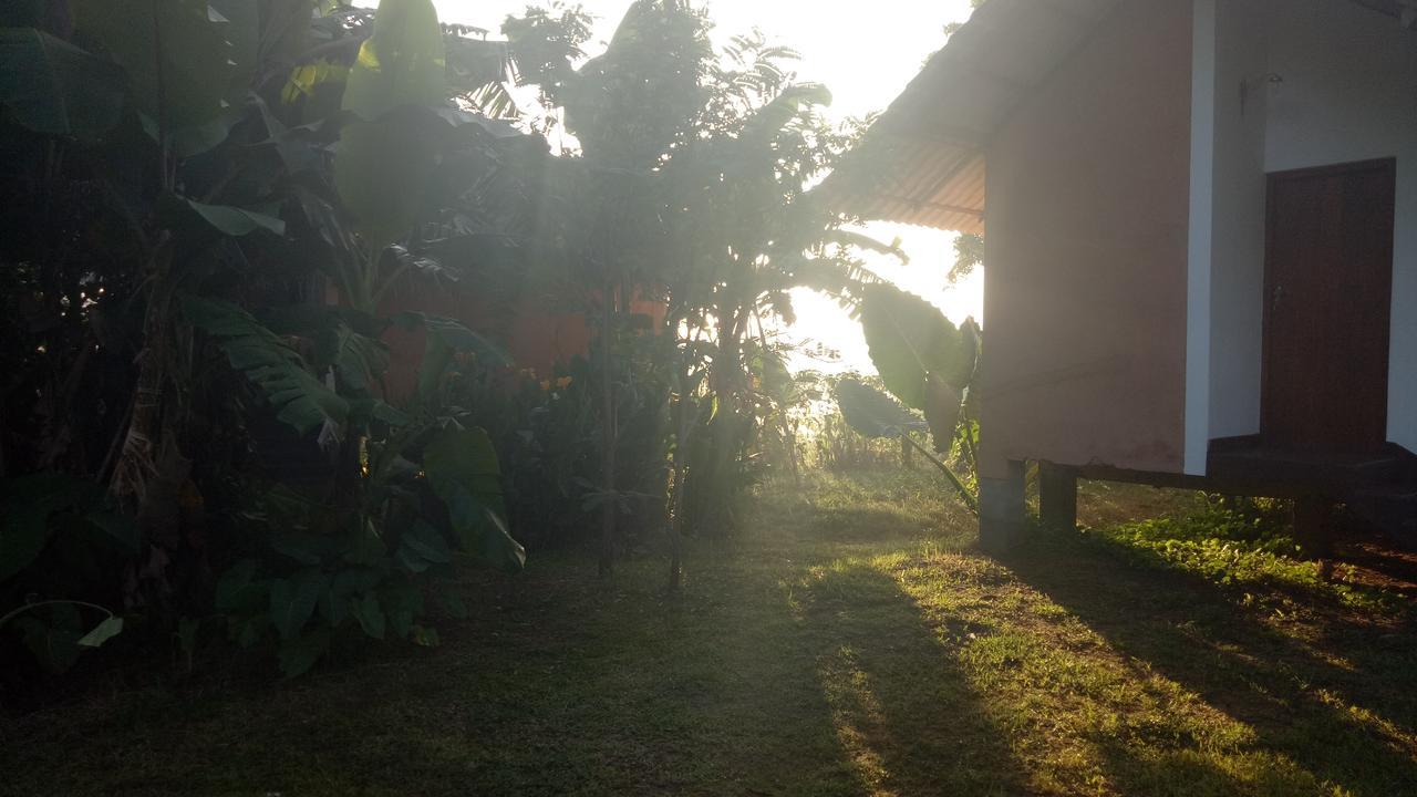 Lake Cabin Polonnaruwa Luaran gambar
