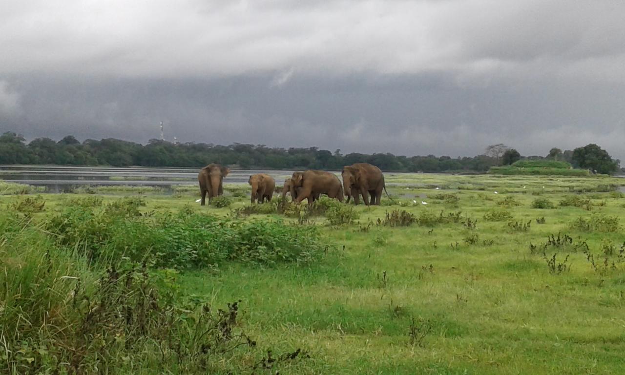 Lake Cabin Polonnaruwa Luaran gambar