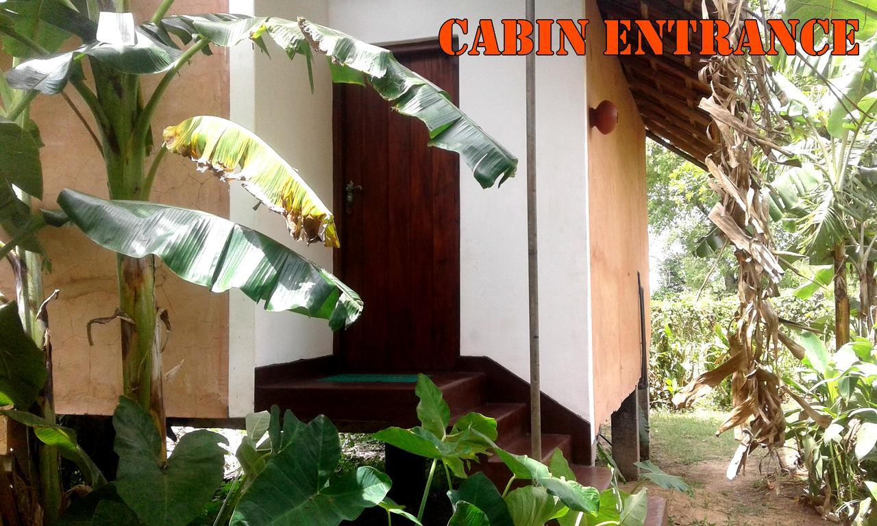 Lake Cabin Polonnaruwa Luaran gambar