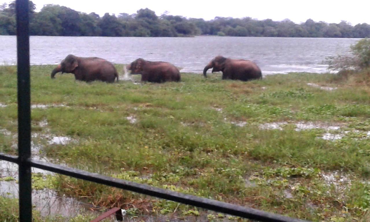 Lake Cabin Polonnaruwa Luaran gambar